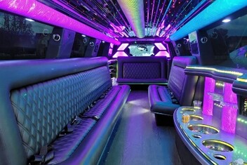Hayward Limo Interior